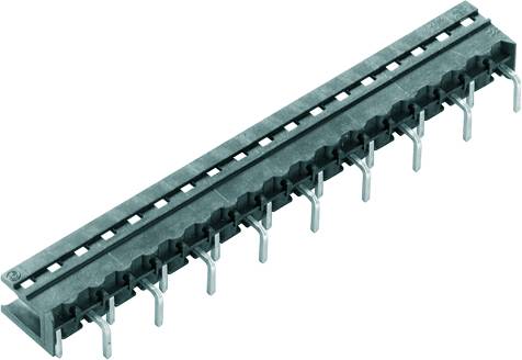 Ein elektrischer Stecker mit mehreren parallelen Metallstiften, die aus einem rechteckigen Kunststoffgehäuse ragen.