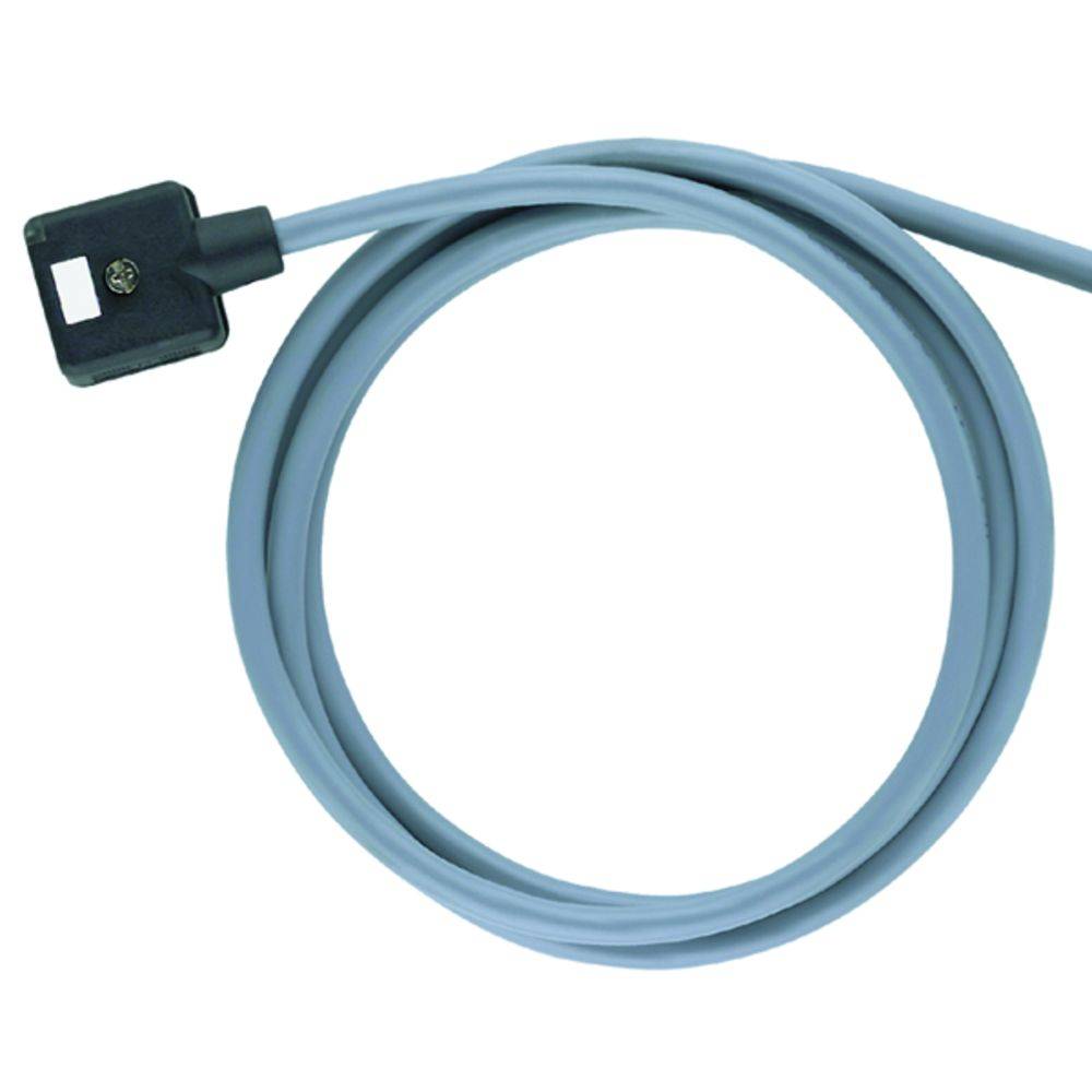 Ein USB-Ladekabel mit einem rechteckigen Anschluss am Ende, das aufgerollt liegt, vor einem weißen Hintergrund.