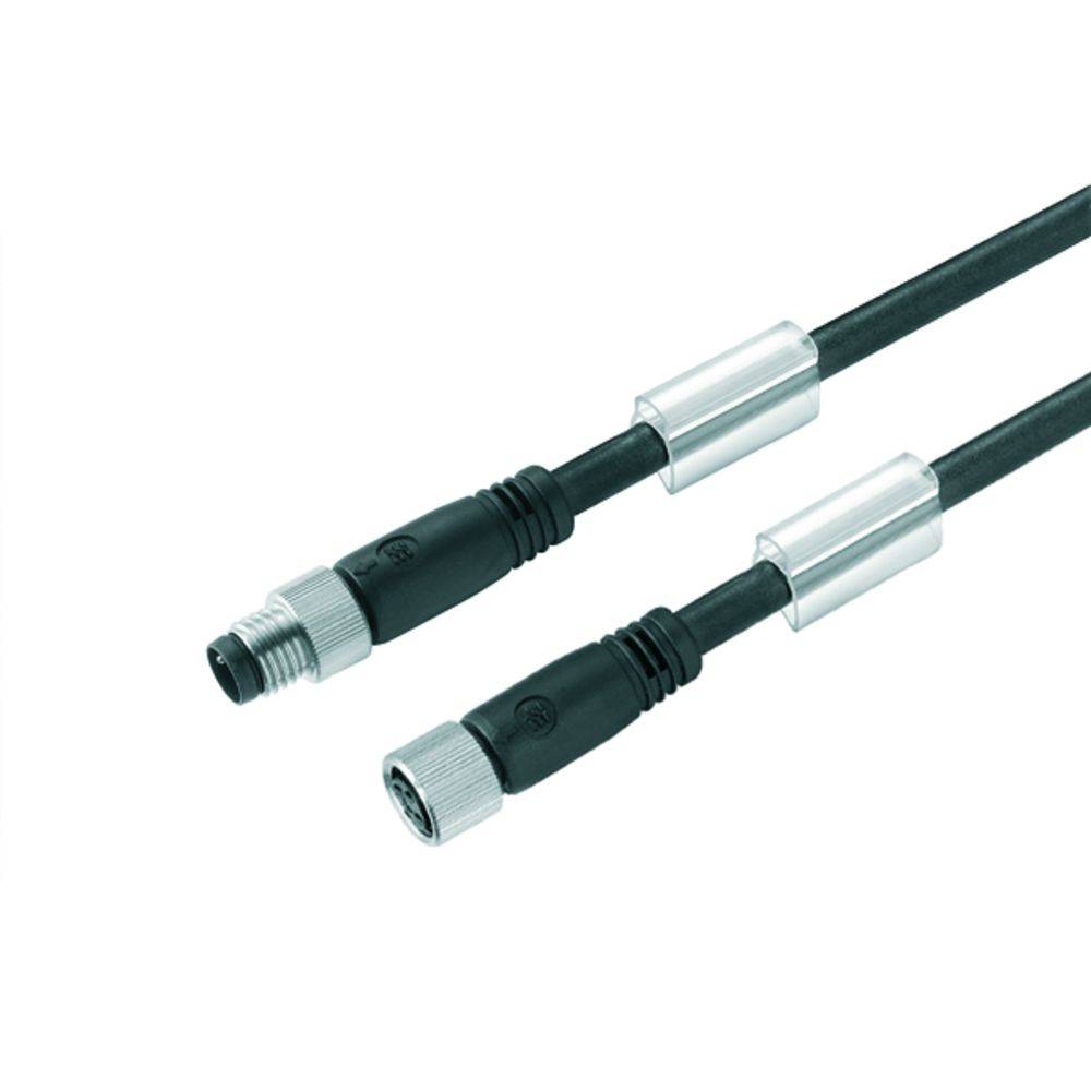 Zwei schwarze Kabel mit silbernen Steckverbindern an den Enden parallel zueinander. Die Kabel sind für elektrische Verbindungen.