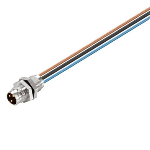 Weidmüller 1078730000 Sensor-/Aktor-Einbausteckverbinder M8 Stecker, Einbau Polzahl Sensoren: 3 1 S