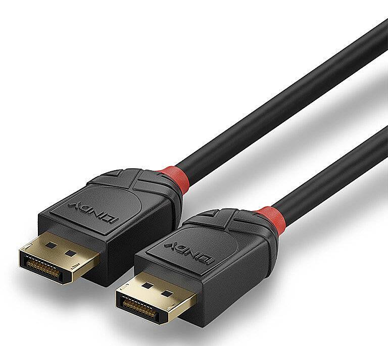 Lindy Black Line - DisplayPort-Kabel - DisplayPort (M)zu DisplayPort (M) -