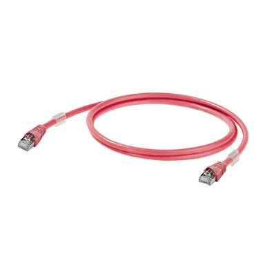 Ein rotes Ethernet-Kabel mit RJ45-Steckern an beiden Enden, in einer Schleife auf einem weißen Hintergrund.