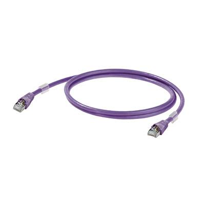 Lila Ethernet-Kabel mit RJ45-Steckern auf beiden Seiten, für die Netzwerkverbindung von Geräten.