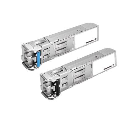 Zwei silberne SFP-Module zur Datenübertragung. Sie sind für den Einsatz in Netzwerkgeräten vorgesehen und dienen der Konnektivität.