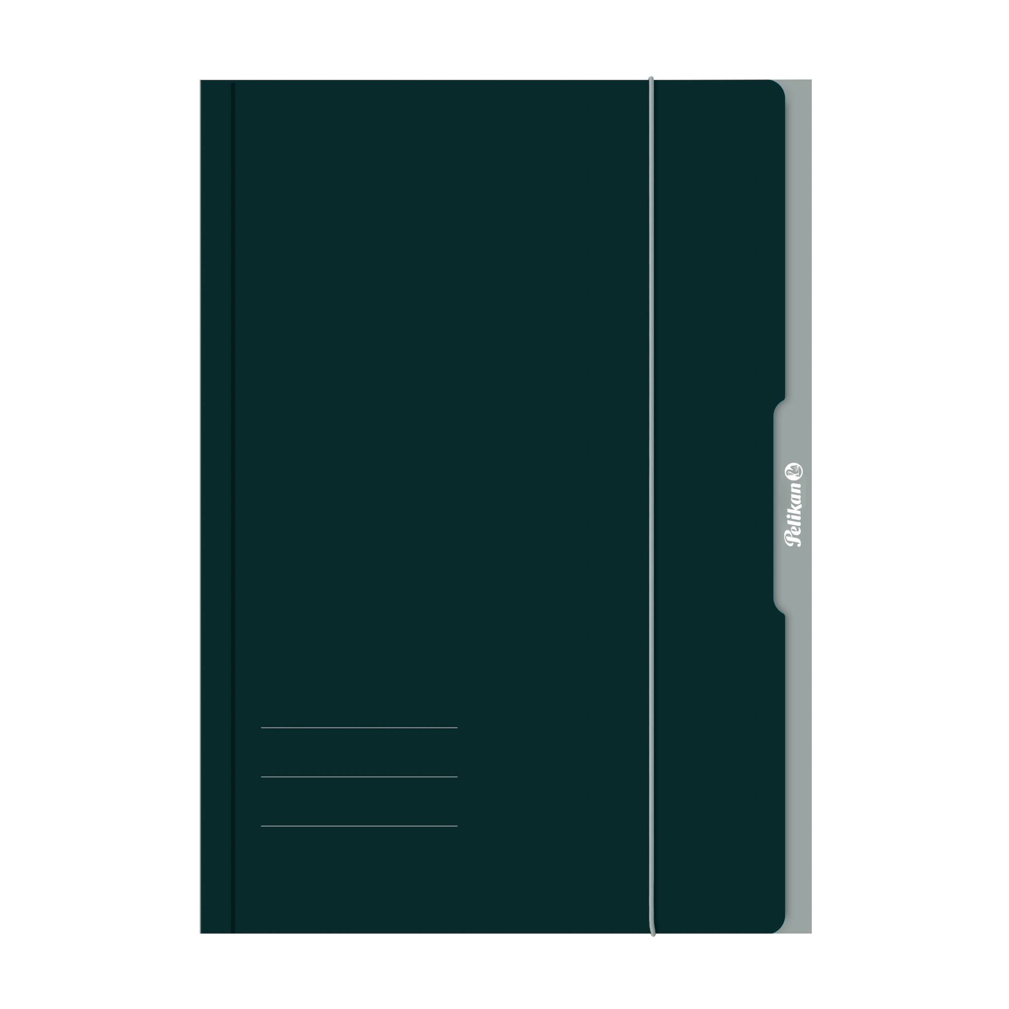 Pelikan 276856, Umlaufordner (fließend), A3, Karton, Grün