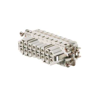 Ein grauer elektrischer Steckverbinder mit zwei Reihen von Anschlüssen und Beschriftung oben.