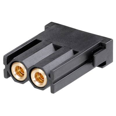 Schwarzer, rechteckiger Adapter mit zwei goldfarbenen Anschlussbuchsen an der Vorderseite.