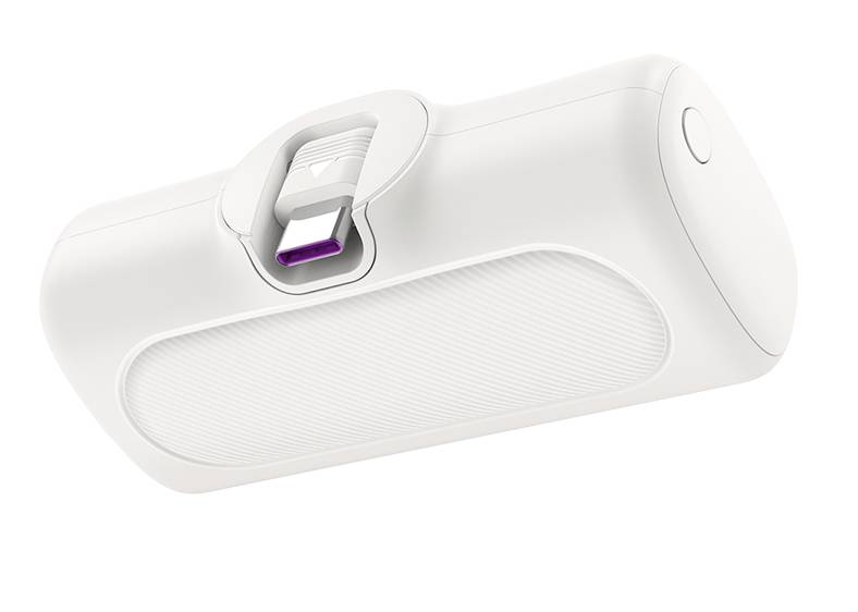 Logilink kompakte Powerbank 5000 mAh, 2x USB-C, weiß