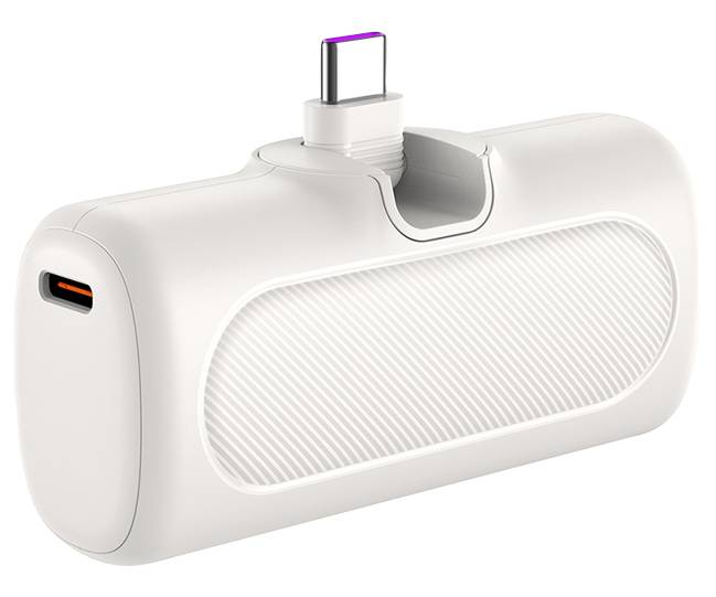 Logilink kompakte Powerbank 5000 mAh, 2x USB-C, weiß