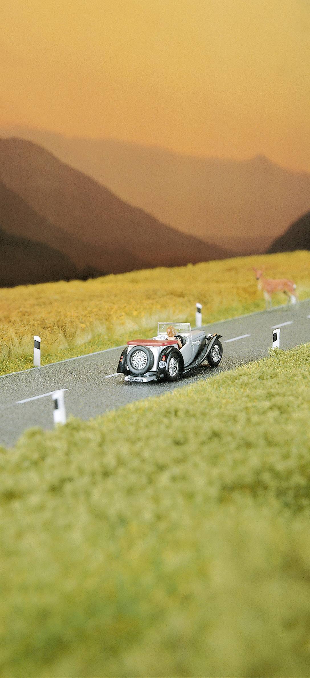 Ein Oldtimer fährt auf einer Landstraße bei Sonnenuntergang durch eine Landschaft mit Hügeln im Hintergrund. Ein Hirsch steht am Straßenrand.