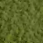 Busch 7317 Belaubungsmaterial Mai-Grün Busch 7317 Belaubungsmaterial Mai-Grün