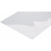 Reely Polycarbonat-Platte (L x B) 400 mm x 500 mm 0.75 mm