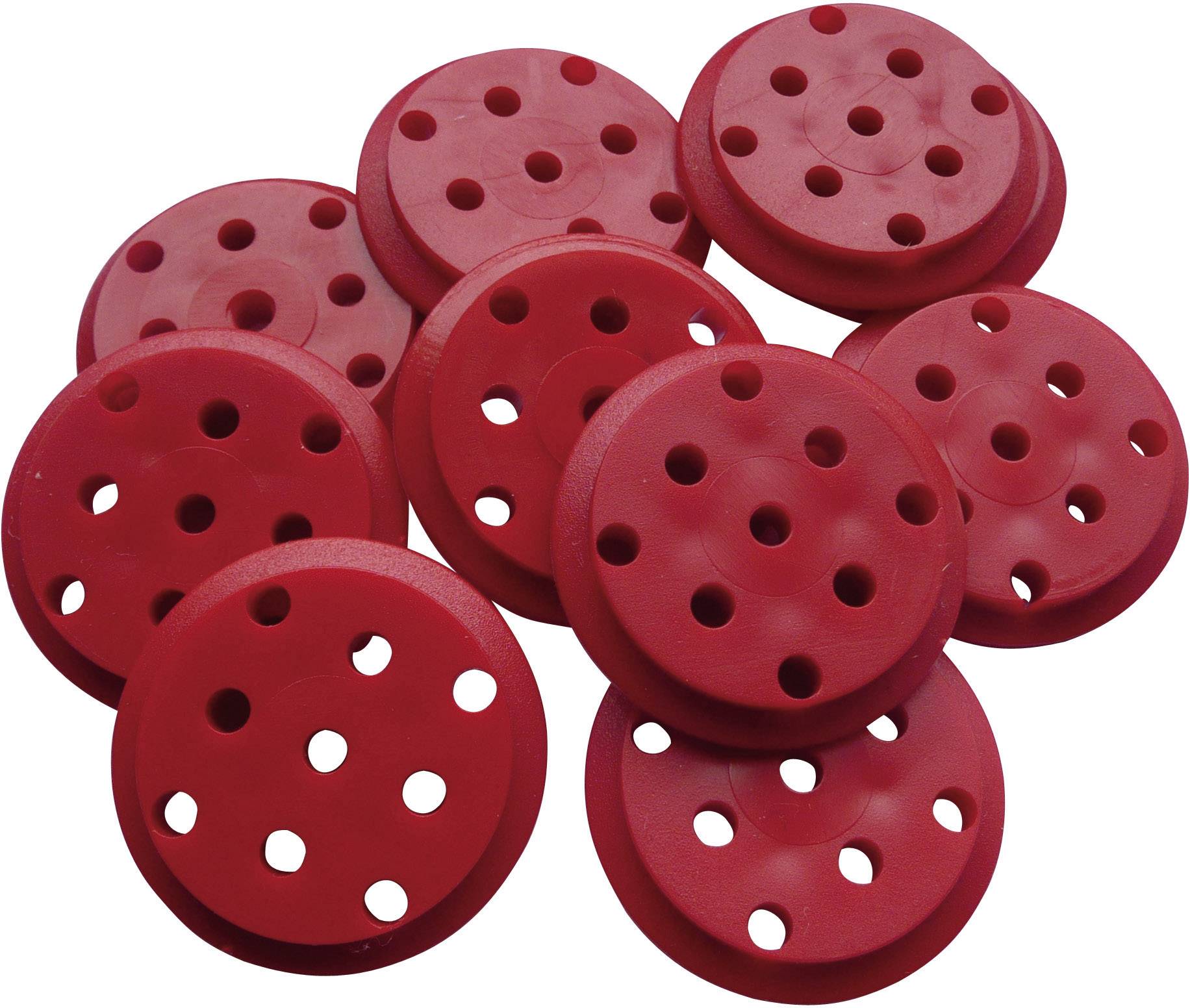 Reely 30/25 x 4 x 2,9 mm Werklehrmittel Stufenscheiben (Ø) 30 mm Bohrungs-Ø 2.9 mm