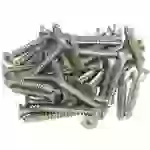 Viessmann Modelltechnik 4178 H0 Kreuzschlitzschrauben Universell 50St. Viessmann Modelltechnik 4178 H0 Kreuzschlitzschrauben Universell 50St.