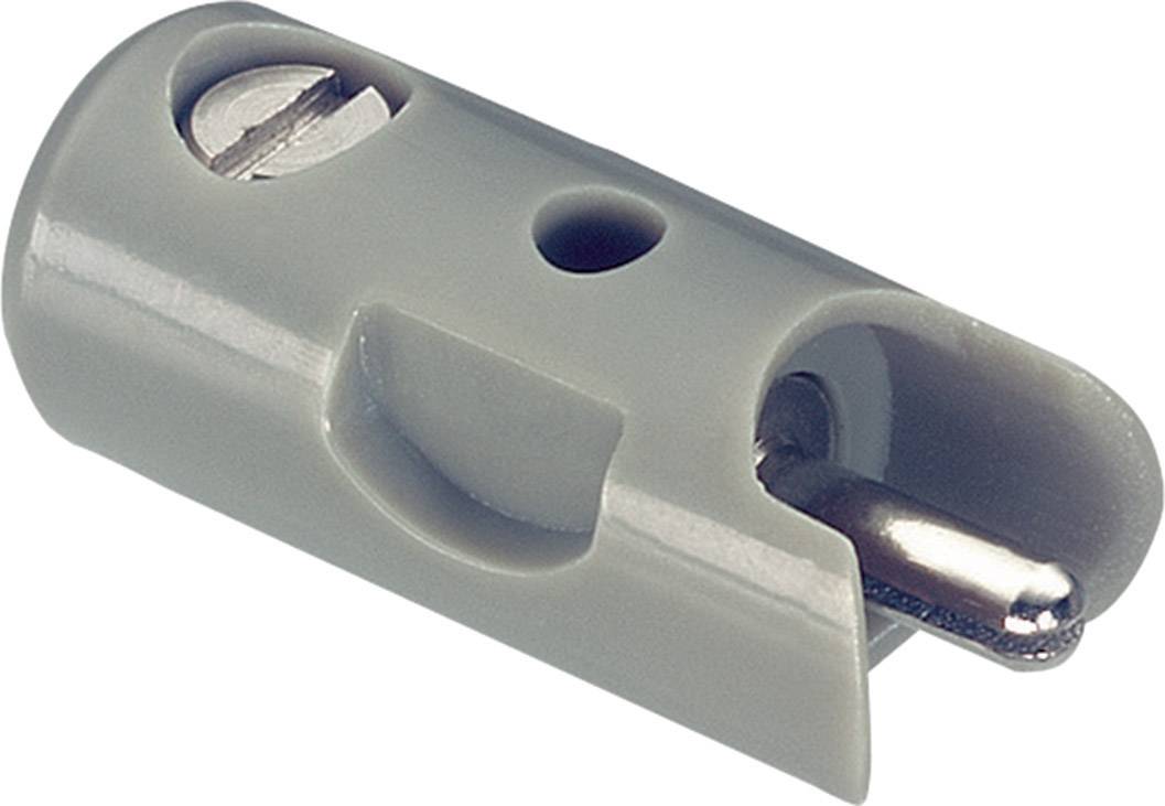 Grauer Kunststoff-Dübel mit Metallstift, genutzt zur Wandmontage von Regalen oder Haken, ungefähr drei Zentimeter lang.