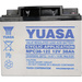 Batterie au plomb 12 V 38 Ah Yuasa NPC38-12 plomb (AGM) (l x H x P) 197 x 170 x 165 mm raccord à vis M5 sans entretien, résistant
