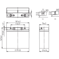 Panasonic 12 V 22 Ah LC-XC1222P Bleiakku 12 V 22 Ah Blei-Vlies (AGM) (B x H x T) 181 x 167 x 76 mm M5-Schraubanschluss Wartungsfrei, Zyklenfest Panasonic 12 V 22 Ah LC-XC1222P Bleiakku 12 V 22 Ah Blei-Vlies (AGM) (B x H x T) 181 x 167 x 76 mm M5-Schraubanschluss Wartungsfrei, Zyklenfest
