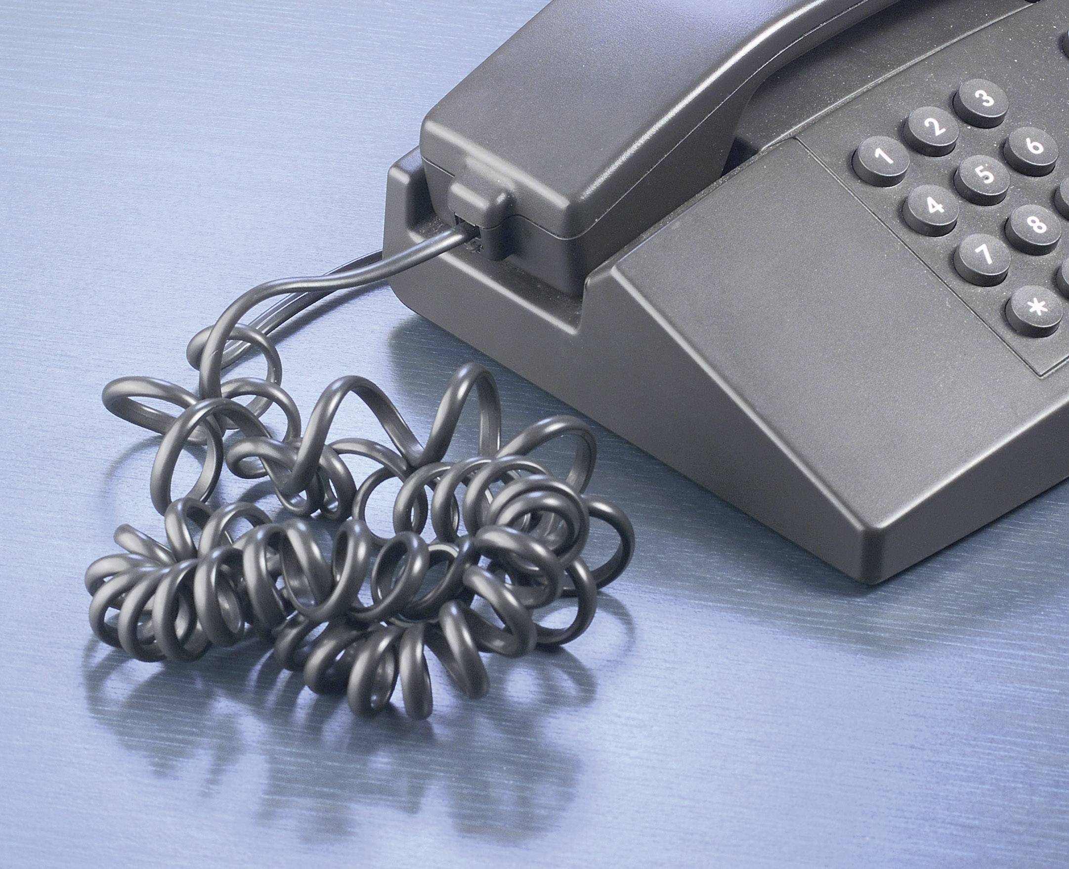 Renkforce Kabel-Entzwirler Adapter [1x RJ10-Stecker 4p4c - 1x RJ10-Buchse 4p4c] 3.00 cm Schwarz