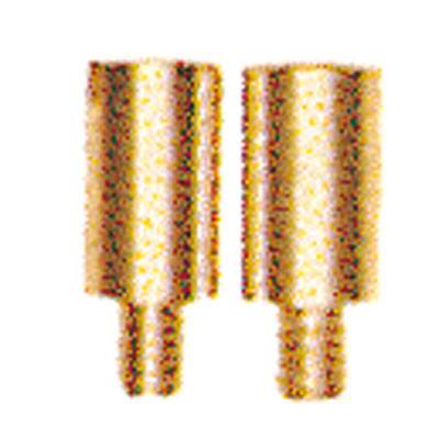 Zwei goldene Schrauben oder Metallstifte, identisch in Form, mit grobem Gewinde, nebeneinander stehend vor weißem Hintergrund.
