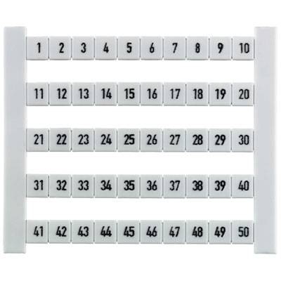 Ein nummeriertes Brett mit Ziffernkacheln von 1 bis 50 in fünf Reihen angeordnet.