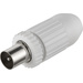 947 539-100 Koax-Stecker Anschlüsse: Koax-Stecker IEC Kabel-Durchmesser: 7.8 mm 1 St.