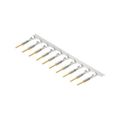 Ein Steckerstreifen mit zehn goldenen Pins auf einer weißen Leiste, dient der elektrischen Verbindung in technischen Geräten.