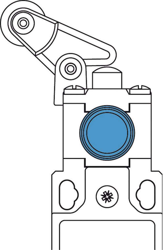 Panasonic MAM5R32Z11 MAM5R32Z11 Endschalter 400 V/AC 10A Rollenschwenkhebel rastend IP66 1St.