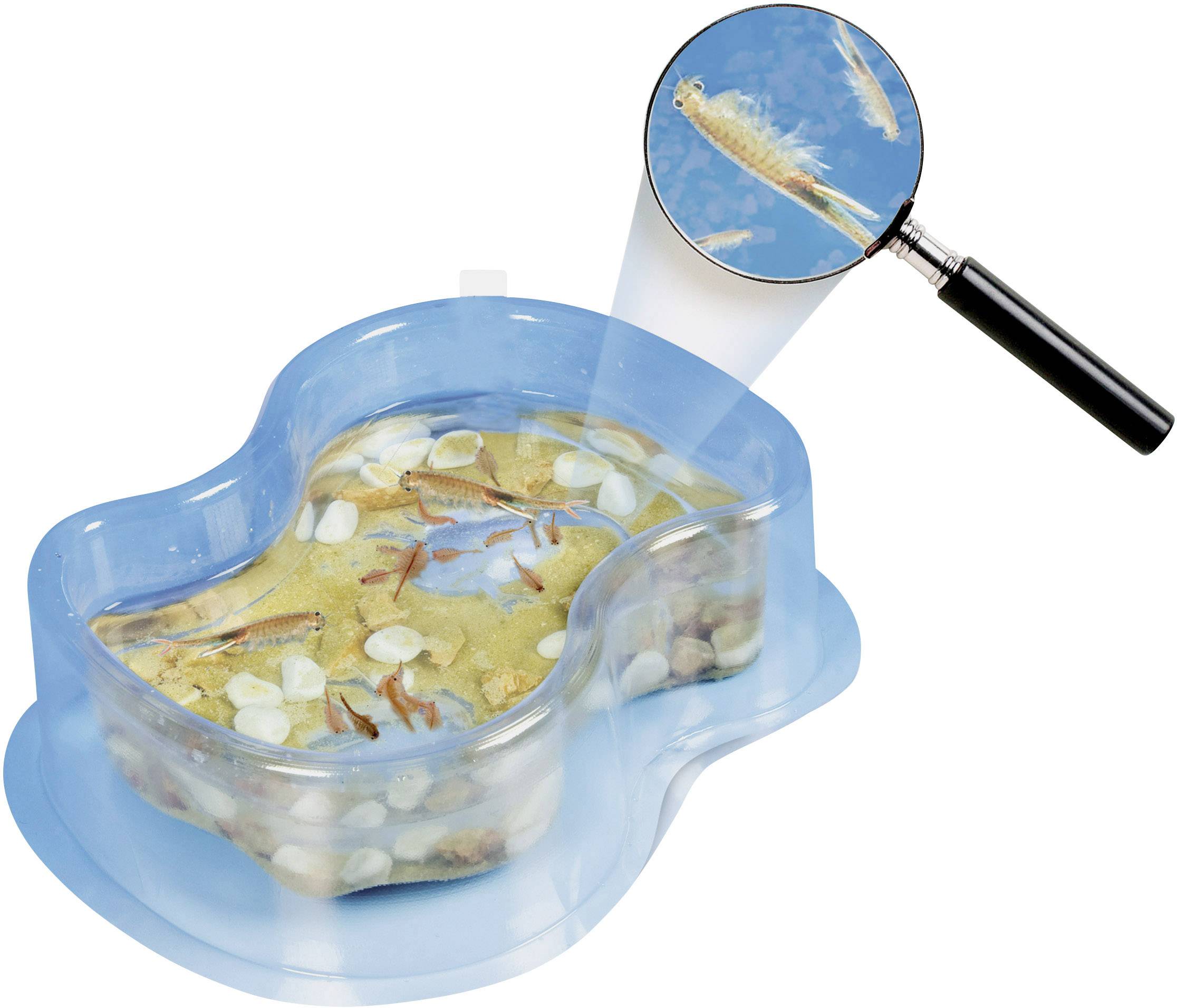 Clementoni 69937 Galileo - Original Salzkrebse Experimentierkasten ab 8 Jahre