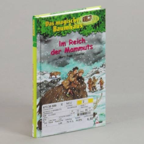 Loewe Verlag Das magische Baumhaus Bd. 07 Im Reich der Mammuts 4005 1 St.