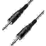 Paccs HIC23BK030SD Instrumenten Kabel [1x Klinkenstecker 6.35 mm - 1x Klinkenstecker 6.35 mm] 3.00 m Schwarz