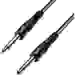 Paccs HIC11BK030SD Instrumenten Kabel [1x Klinkenstecker 6.35 mm - 1x Klinkenstecker 6.35 mm] 3.00 m Schwarz
