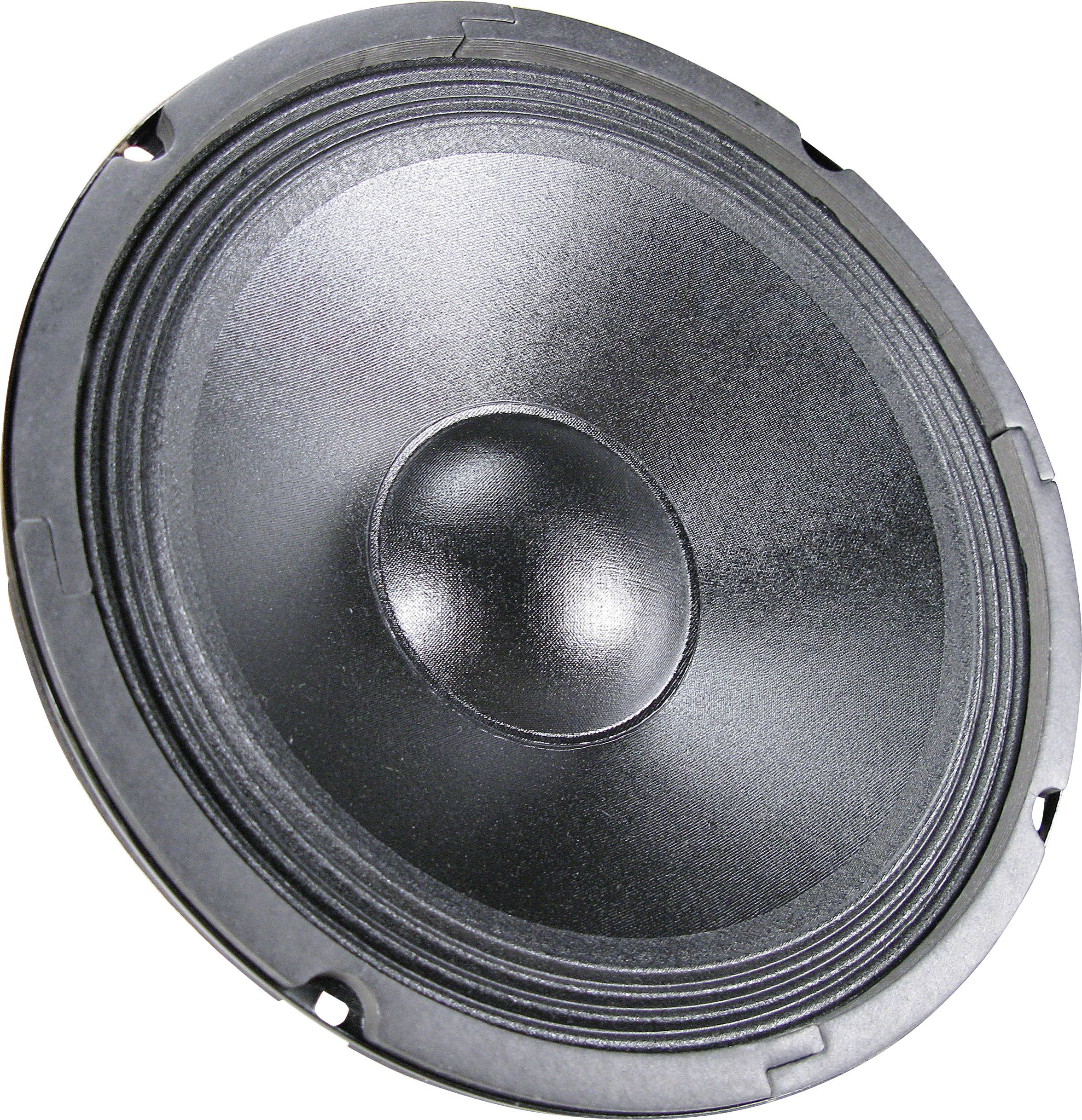 Renkforce CPA PA-10 10 Zoll 25.4cm Tiefmitteltöner 150W 8Ω