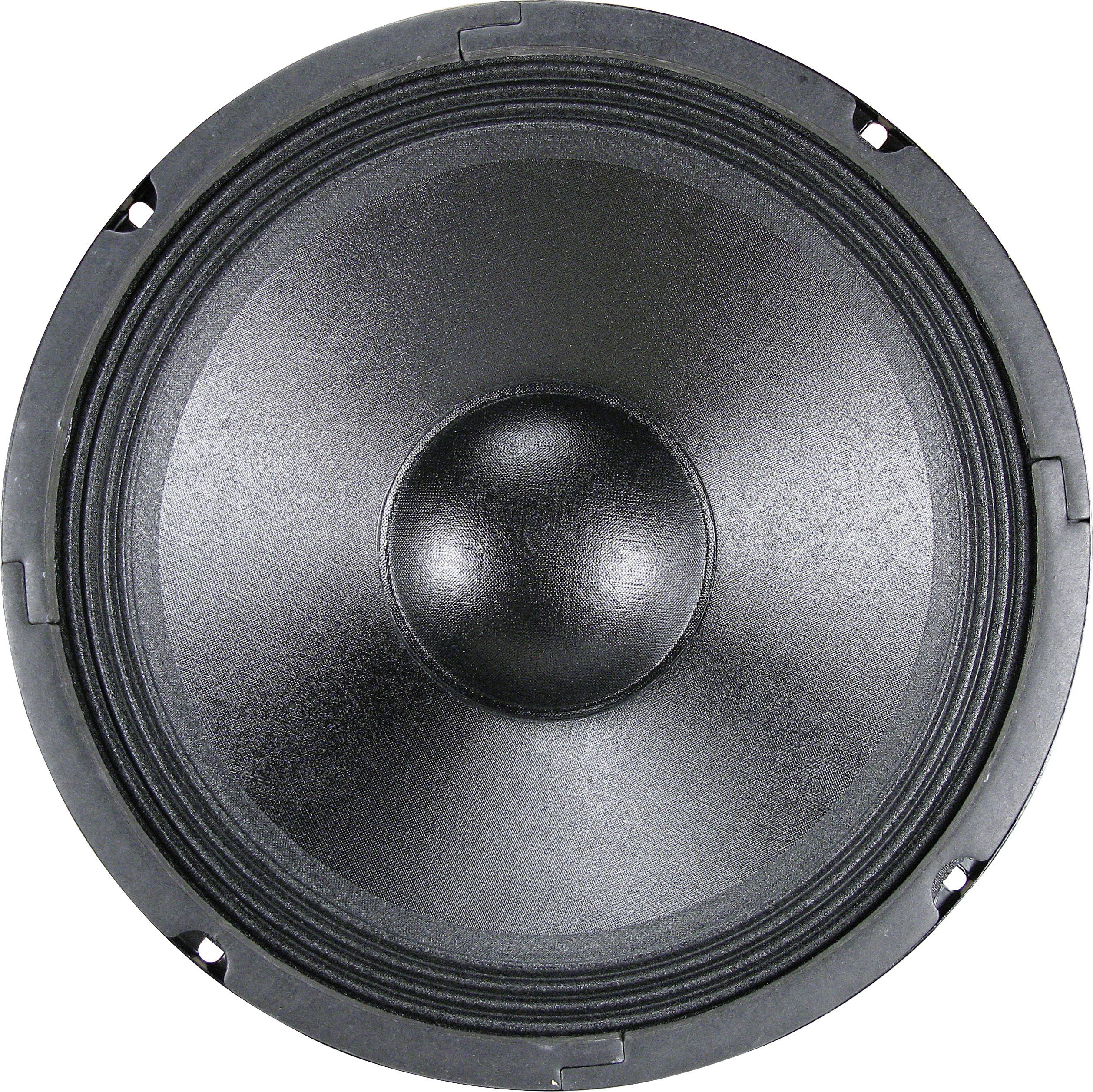 Renkforce CPA PA-10 10 Zoll 25.4cm Tiefmitteltöner 150W 8Ω