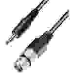Paccs XLR Adapterkabel [1x XLR-Buchse - 1x Klinkenstecker 3.5 mm] 3.00m Schwarz