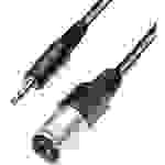 Paccs XLR Adapterkabel [1x XLR-Stecker - 1x Klinkenstecker 3.5 mm] 3.00m Schwarz