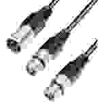 Paccs XLR Y-Kabel [2x XLR-Buchse - 1x XLR-Stecker] 0.60m Schwarz