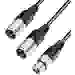 Paccs XLR Y-Kabel [2x XLR-Stecker - 1x XLR-Buchse] 0.60m Schwarz