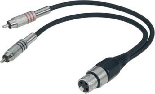 Paccs XLR Adapterkabel [2x Cinch-Stecker - 1x XLR-Buchse] 0.60m Schwarz
