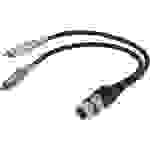 Paccs XLR Adapterkabel [2x Cinch-Stecker - 1x XLR-Buchse] 0.60m Schwarz