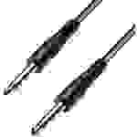 Paccs HIC52BK060SD Instrumenten Kabel [1x Klinkenstecker 6.35mm - 1x Klinkenstecker 6.35 mm] 6.00m Schwarz