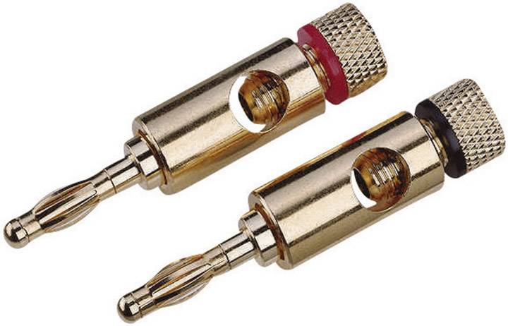 High-End Lautsprecher-Steckverbinder Stecker, gerade Polzahl: 1 Gold 2 St.