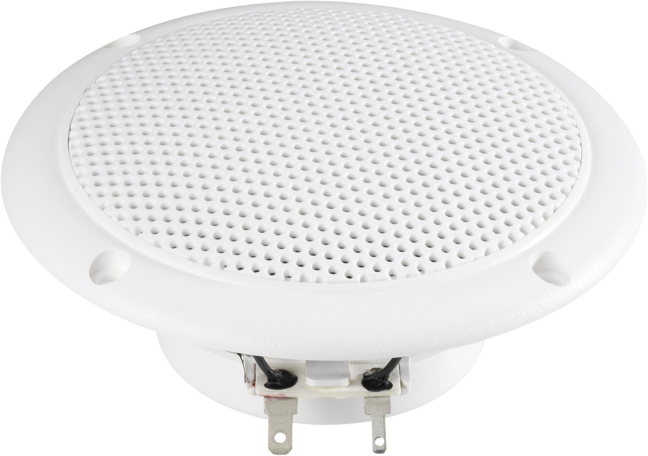 Visaton FR 10 WP - 4 Ohm 4 Zoll 10 cm Breitbänder 20 W 4 Ω Weiß Seewasserbeständig