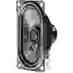 Visaton SC 4.7 ND - 8 Ohm 2.8 Zoll 7cm Breitbänder 2W 8Ω Schwarz Oval, Magnetisch abgeschirmt