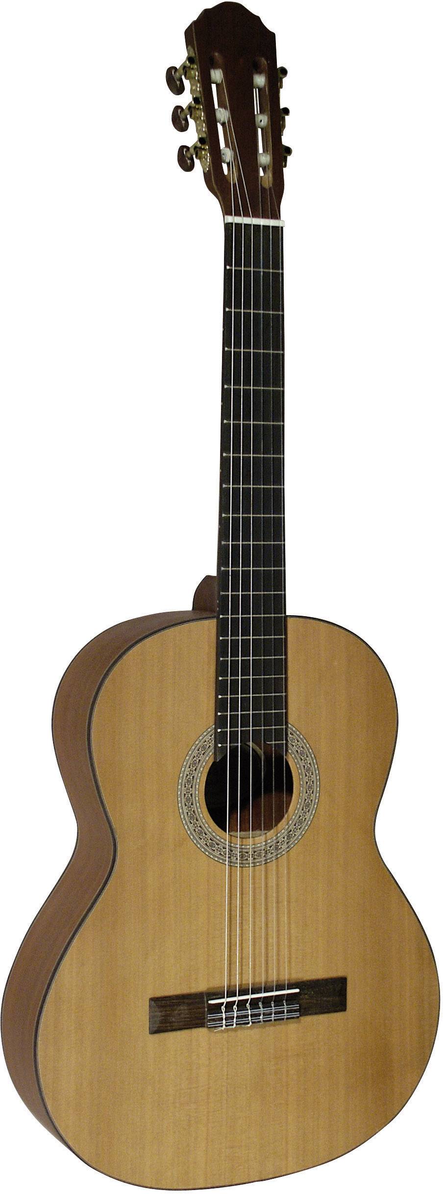 MSA Musikinstrumente HG 96