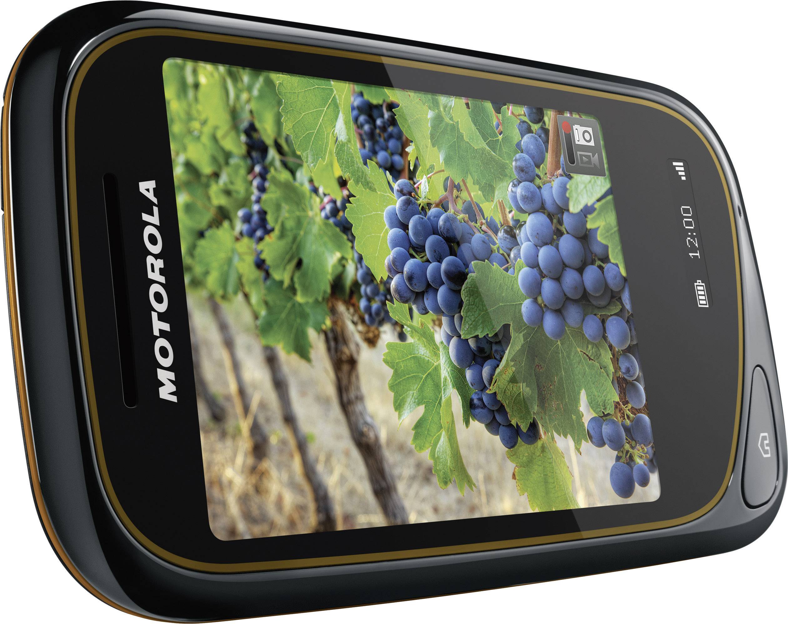 ( () Display, Kamera, Saffron)
