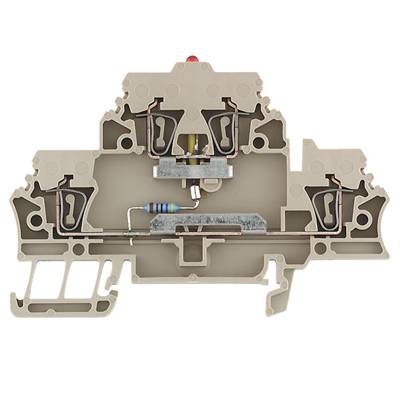 Querschnitt eines elektrisch isolierten Schraubklemmenblocks. Hervorgehoben sind der metallene Leiter, eine Schraubverbindung und ein Widerstand.