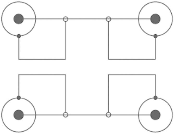 SpeaKa Professional SP-1300120 Cinch Audio Anschlusskabel [2x Cinch-Stecker - 2x Cinch-Stecker] 2.50 m Schwarz