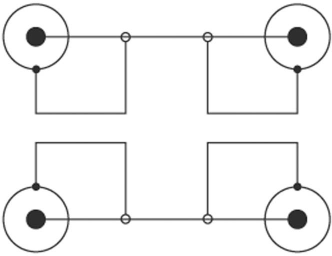 SpeaKa Professional SP-1300132 Cinch Audio Anschlusskabel [2x Cinch-Stecker - 2x Cinch-Stecker] 15.00 m Schwarz