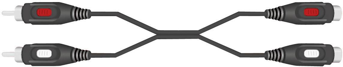 SpeaKa Professional Cinch Audio Verlängerungskabel [2x Cinch-Stecker - 2x Cinch-Buchse] 10m Schwarz