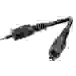 SpeaKa Professional Toslink Digital-Audio Anschlusskabel [1x Optischer Stecker 3.5mm - 1x Toslink-Stecker (ODT)] 1.00m Schwarz